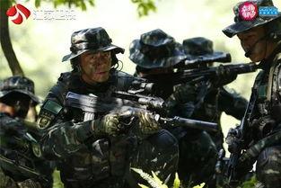 利刃出击在线观看  第2张